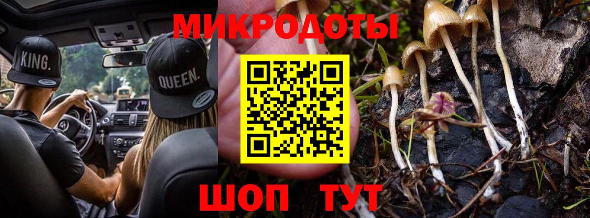 Псилоцибиновые грибы Cubensis  Вход с VPN  Курчатов 