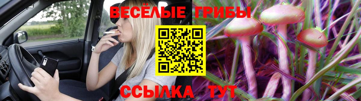 Псилоцибиновые грибы GOLDEN TEACHER Курчатов